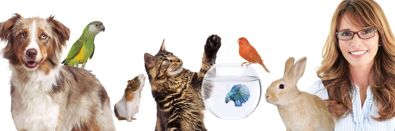 EspeciesPRO's profile banner image