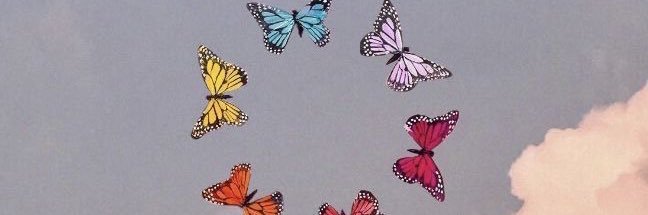 bhazin's profile banner image
