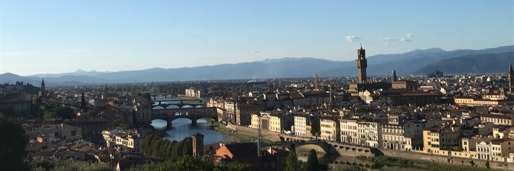tvincoli's profile banner image