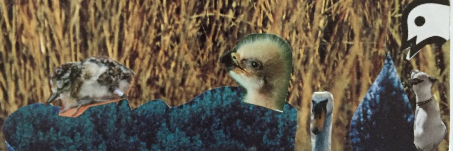 Sbaer135's profile banner image