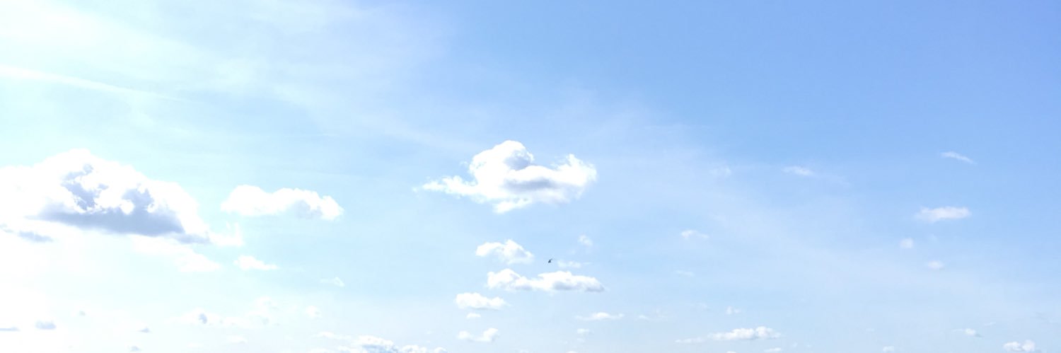Vladimir Spivak banner