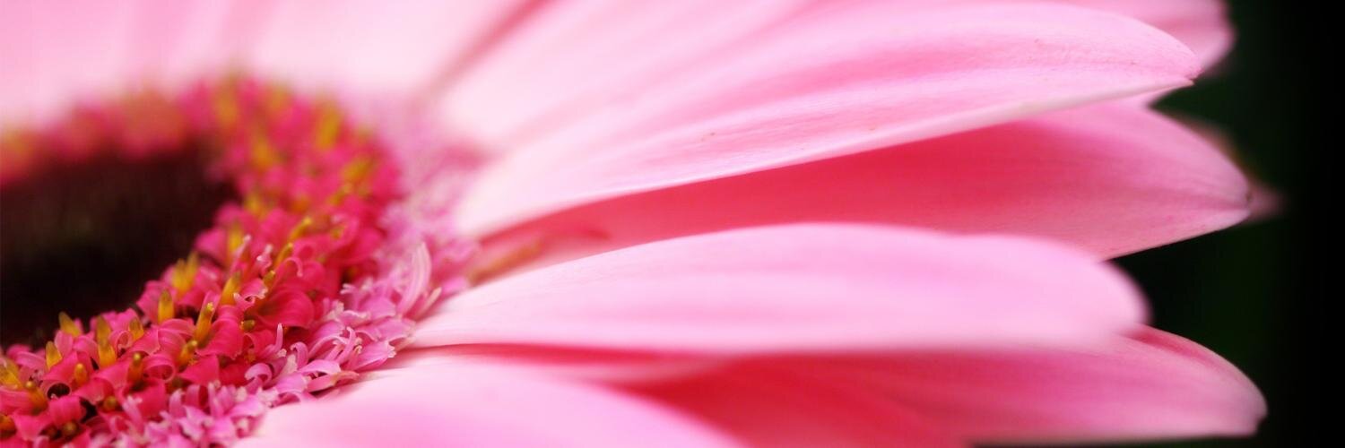 KOROPPY's profile banner image