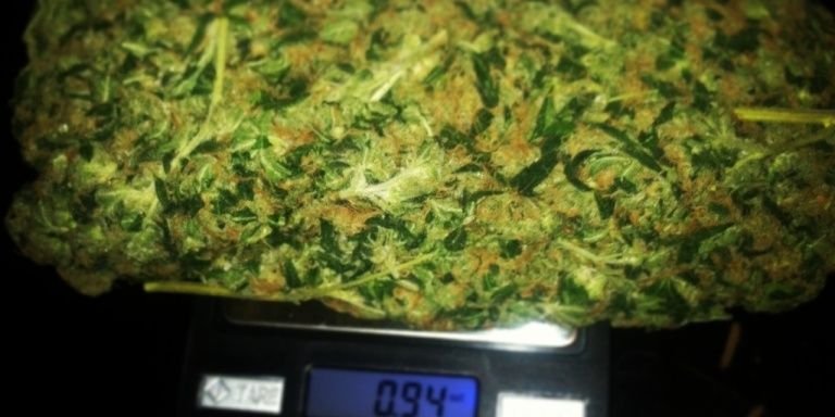 greenst_rell's profile banner image