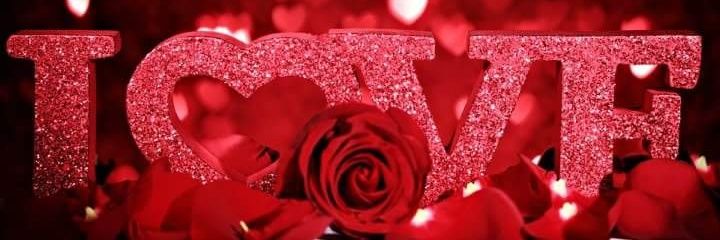 RoroToooop2002's profile banner image