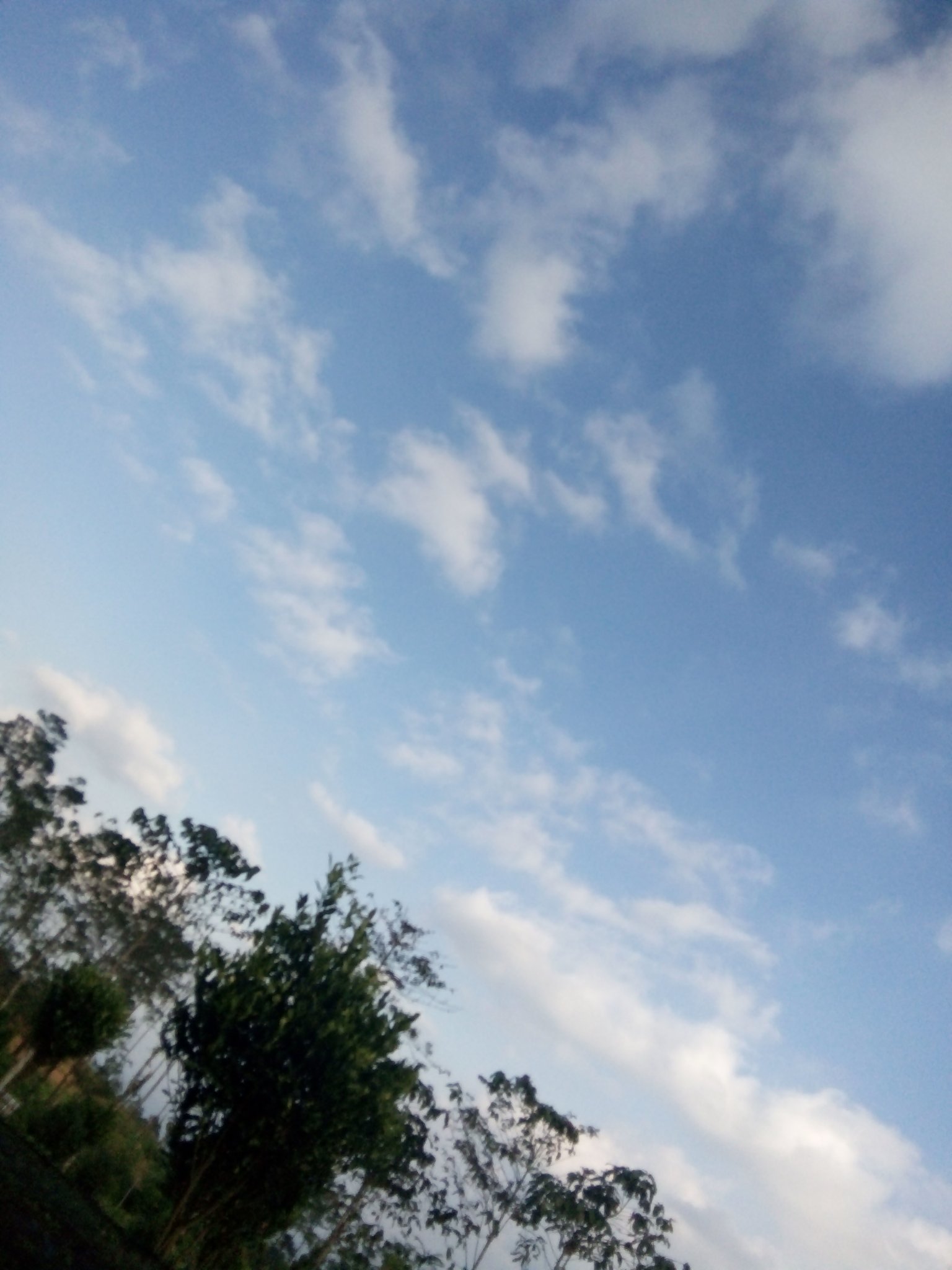 bleeuee's profile banner image