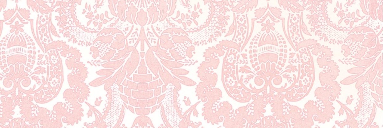 Nova Rini banner