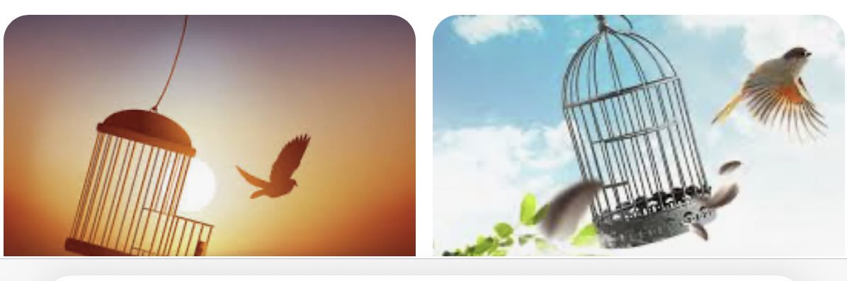 Sajjad355Ali's profile banner image