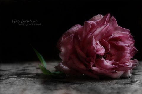Sensepoet20's profile banner image
