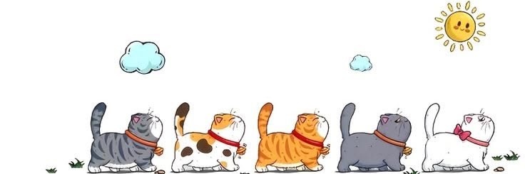 wiV_kim's profile banner image