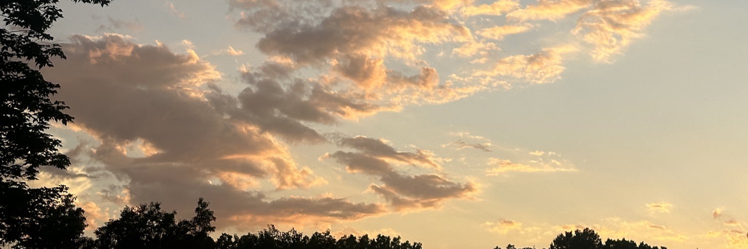 g_schurman's profile banner image