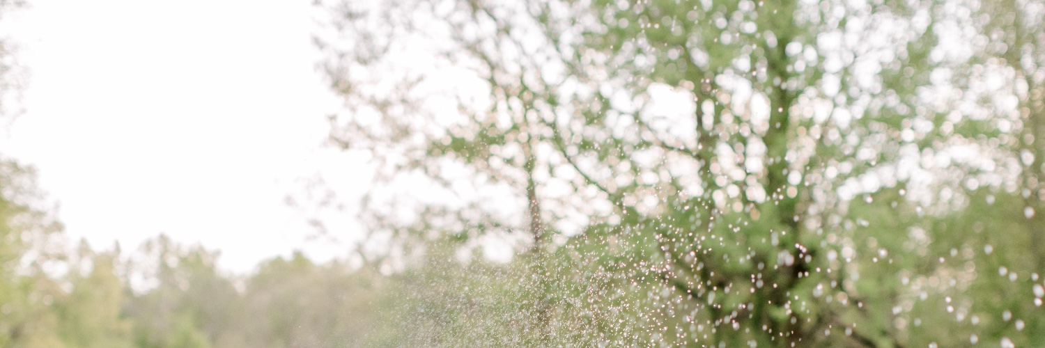 hannahtonnesen's profile banner image