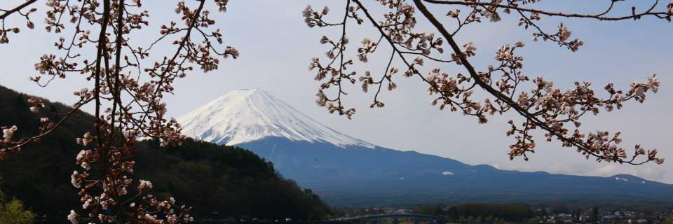 Thibauld Mathieu banner