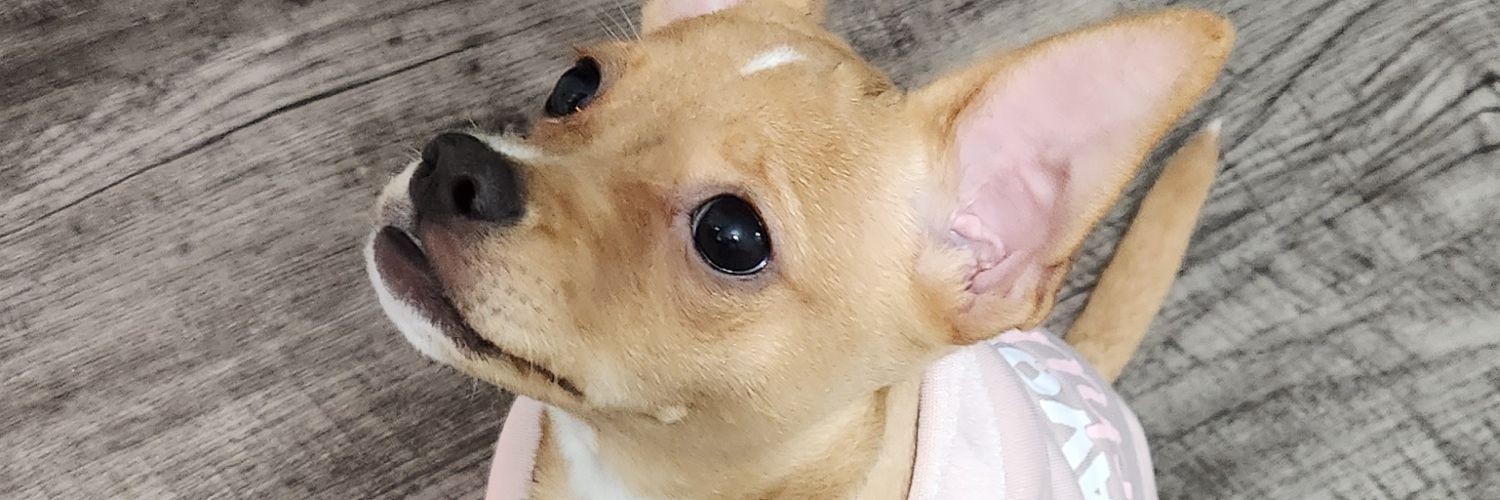 RobGivenchy's profile banner image