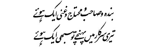 محمد شہزاد banner