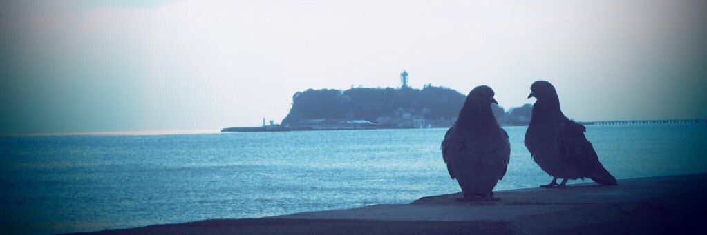 uskysec's profile banner image