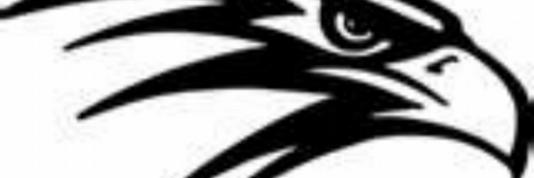 dommoro Profile Banner