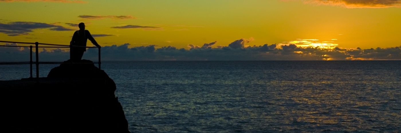 donamaro's profile banner image