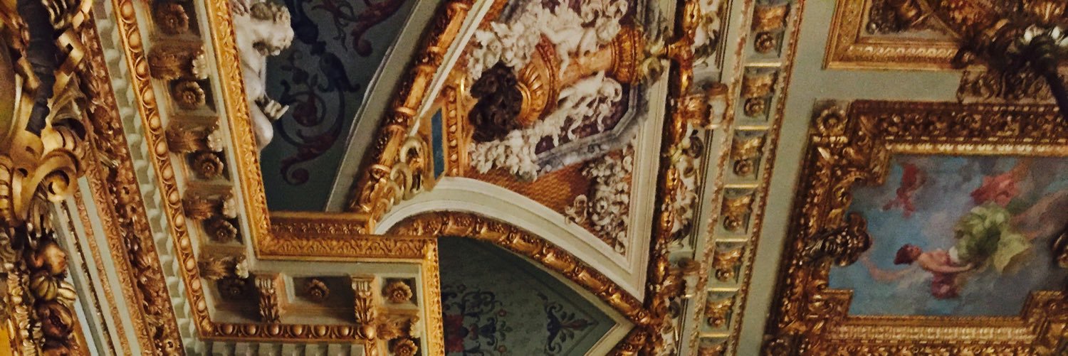 insanebrunettes's profile banner image