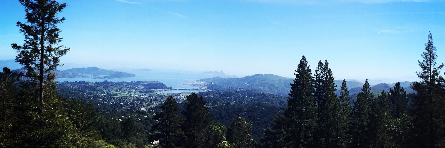 LaurenRobBass's profile banner image