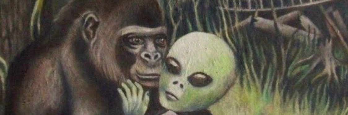 Austin James Mink banner