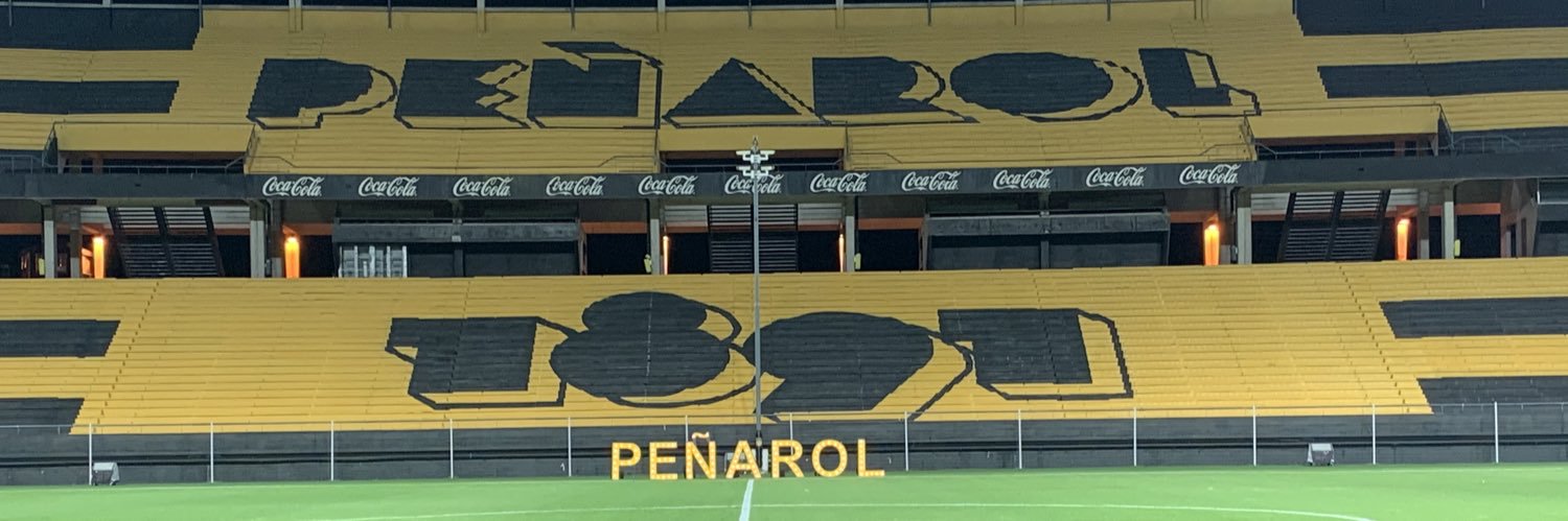 Rodolfo Catino banner