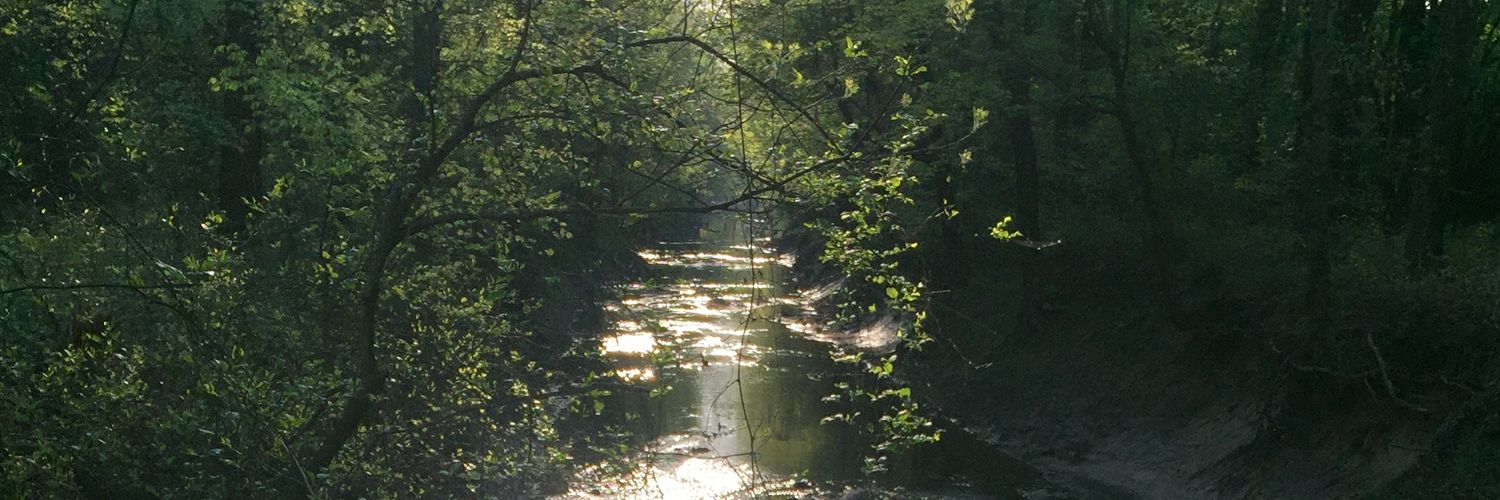 KyleMAyer71's profile banner image