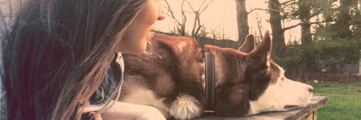 ellis7_kt's profile banner image