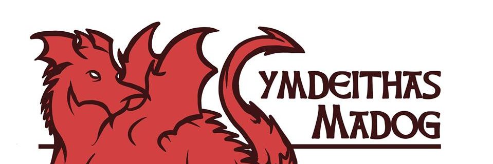 Cymdeithas Madog banner