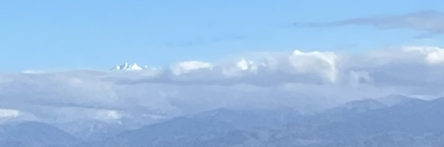 ganmo1357168's profile banner image