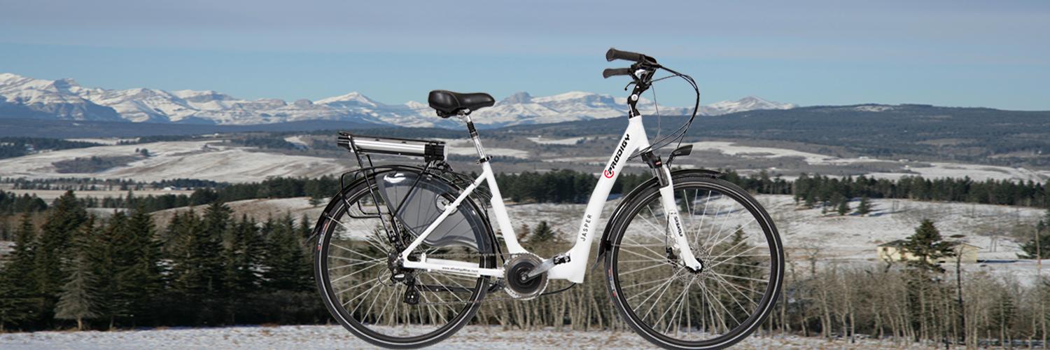 eProdigy Bikes banner
