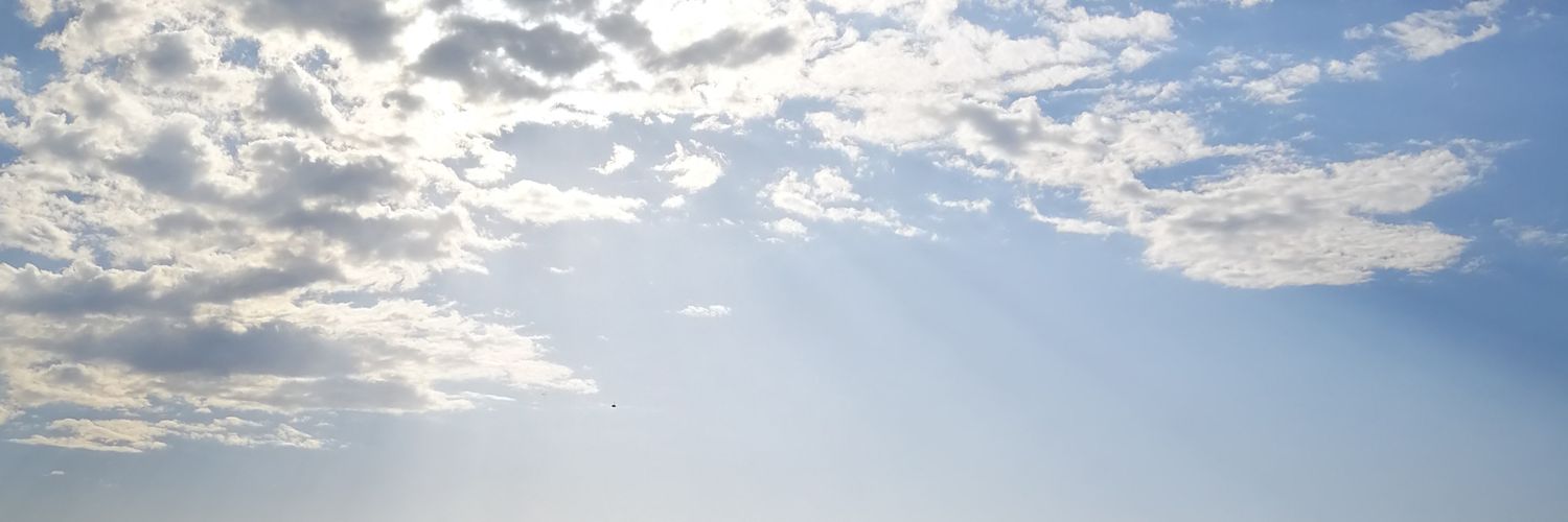 HaniCoatedBerry's profile banner image