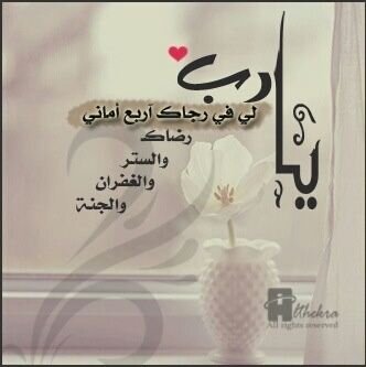 محمد بن عامر banner