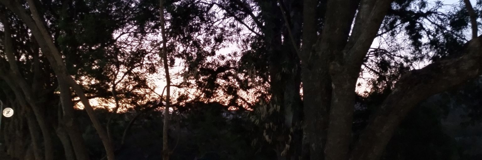 parraglez's profile banner image