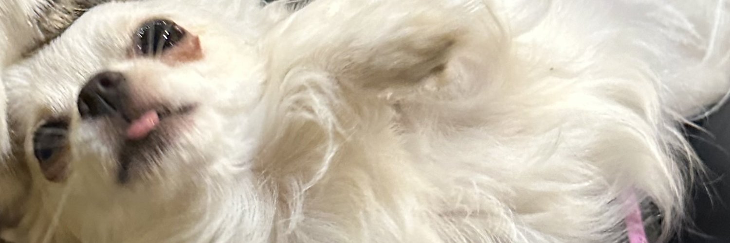 imtheolivia's profile banner image