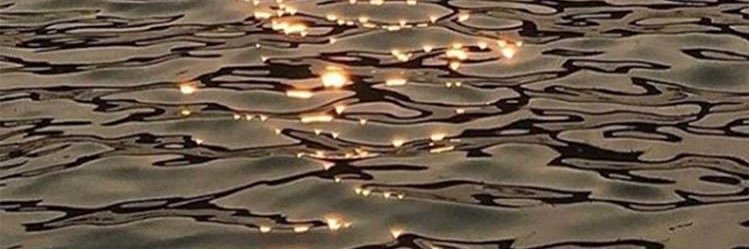 t_scheps's profile banner image
