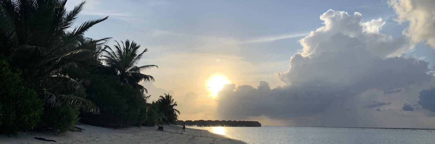 svperry11's profile banner image