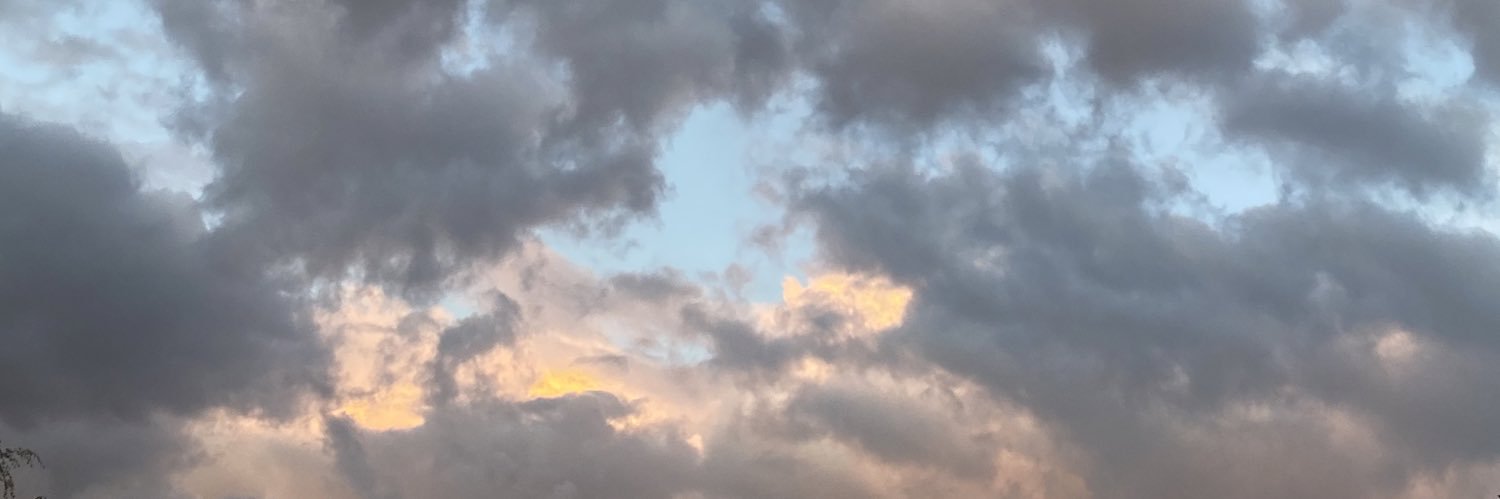 G🦋 banner