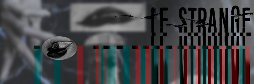 Alle Strange Von banner