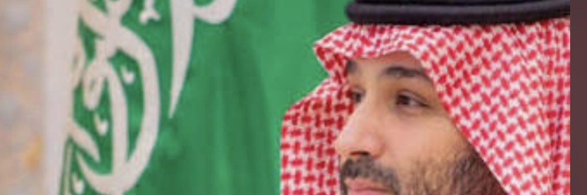adelalhakamy's profile banner image