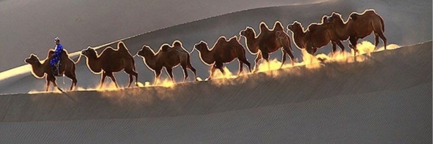 FerrariAnne's profile banner image