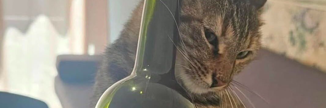 Javi 🫶🏻 banner