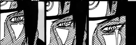 salsideee banner