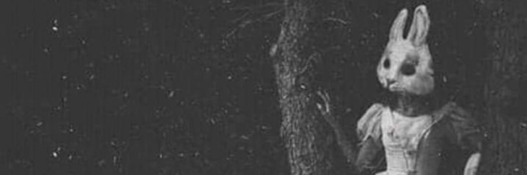 LuTrovato's profile banner image