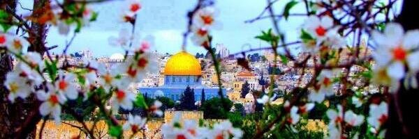 RubaAtallah's profile banner image