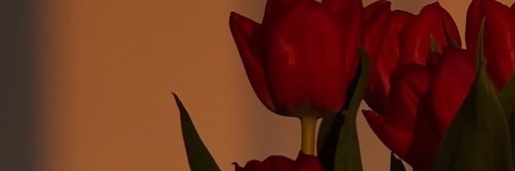 mariaduque29's profile banner image