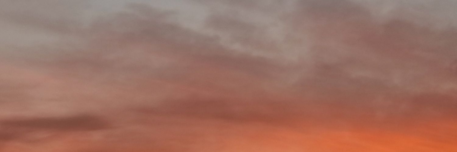 Petal4983's profile banner image