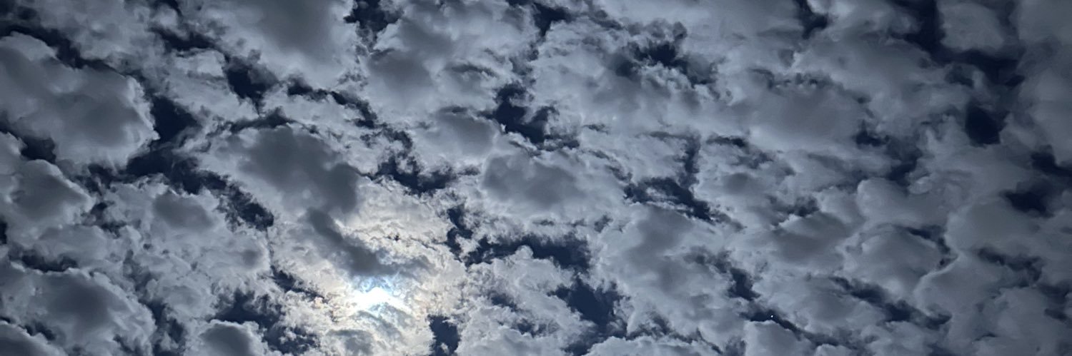 earlybirdlibris's profile banner image