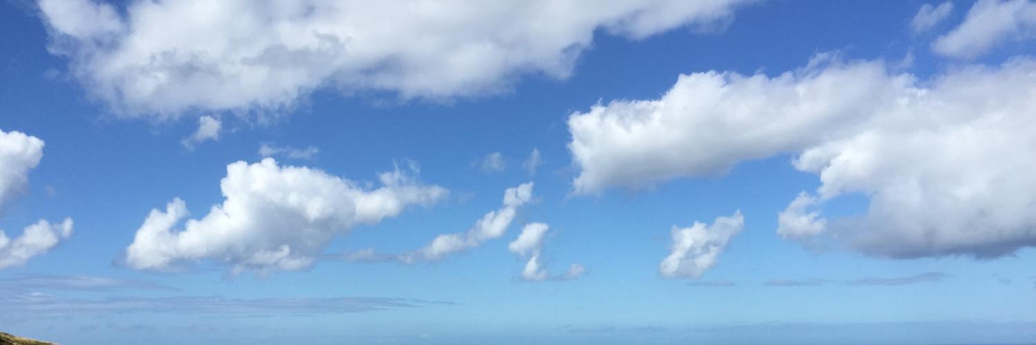 _viclewis's profile banner image