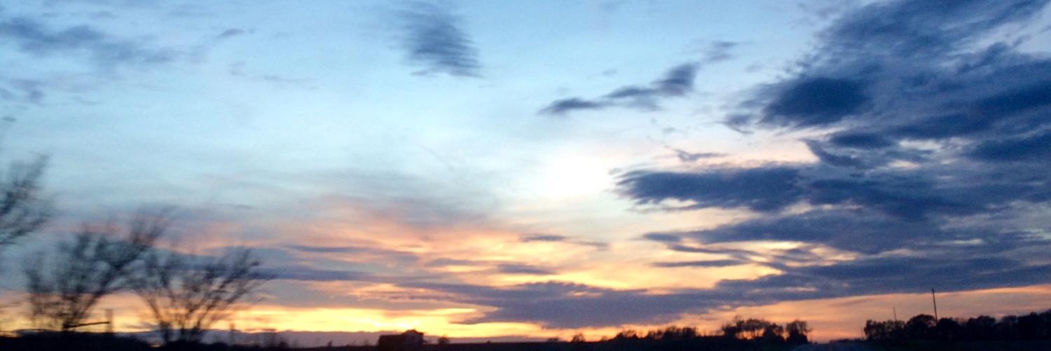 heathernegley's profile banner image