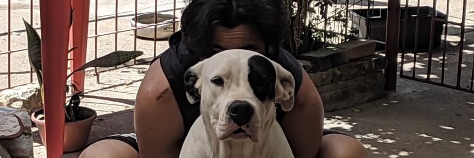 viniitlo's profile banner image